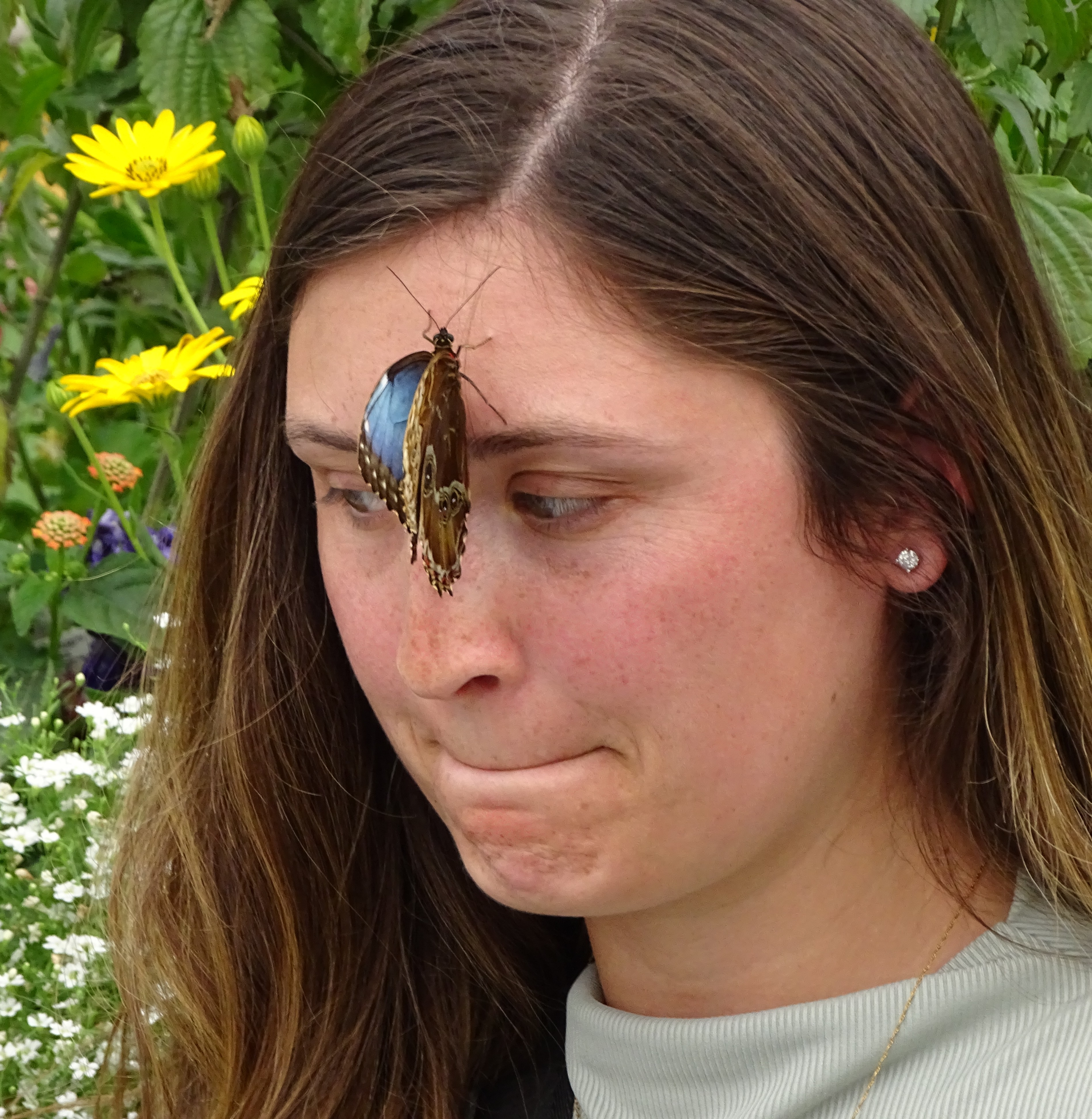 A close-up of a woman with a butterfly resting on her forehead, set against a backdrop of colorful flowers.